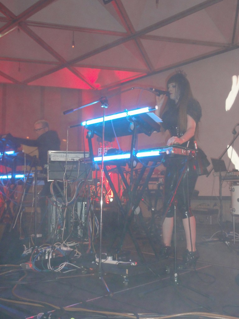 156 Vile Electrodes live in Dusseldorf 2015.jpg