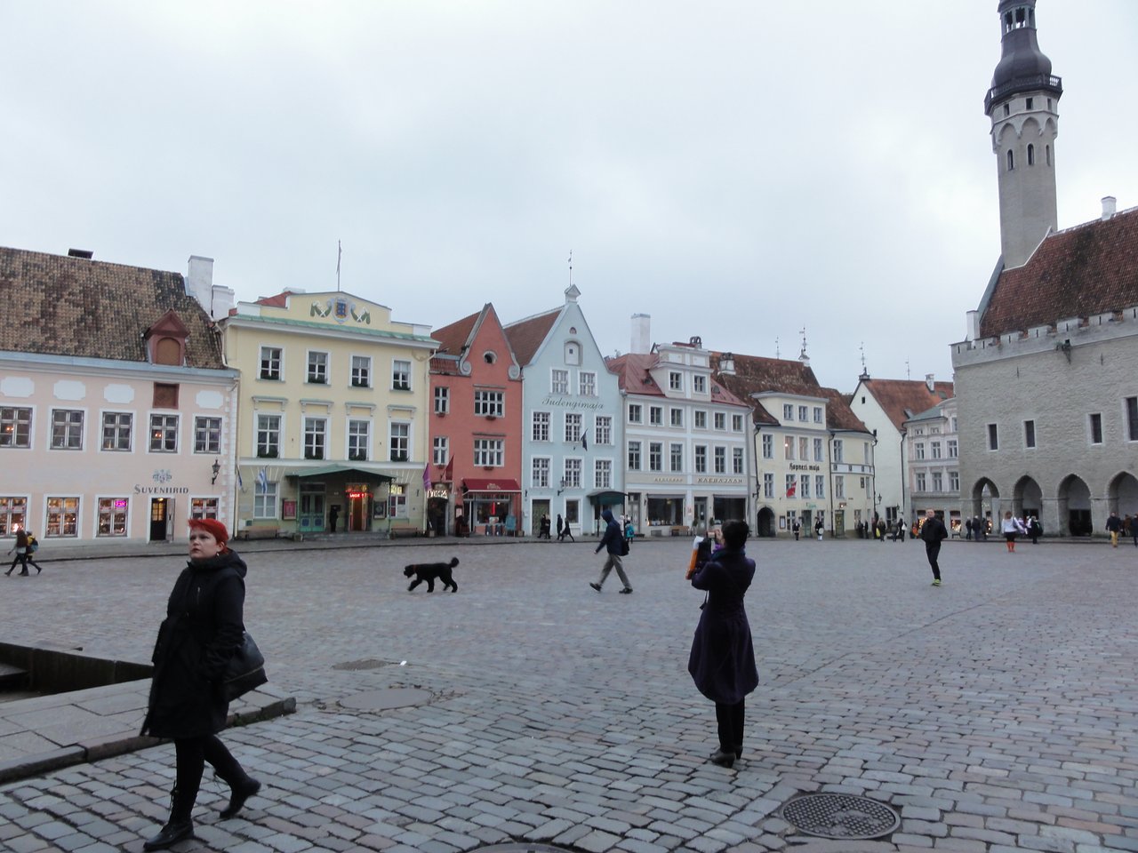 02 Tallinn 9th November 2014.jpg