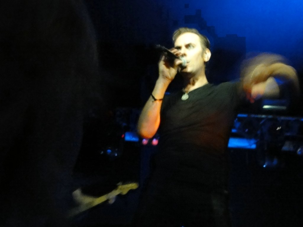 09 Peter Murphy.jpg