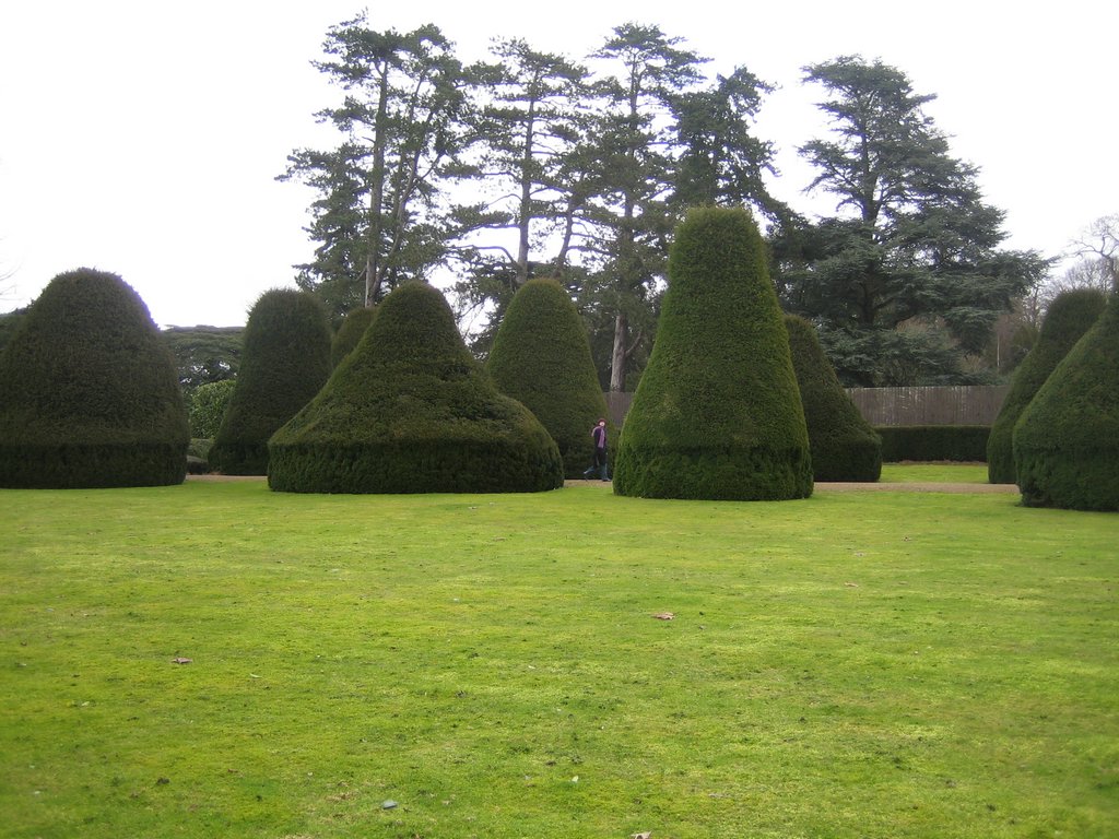 16 Aldermaston back yard.JPG